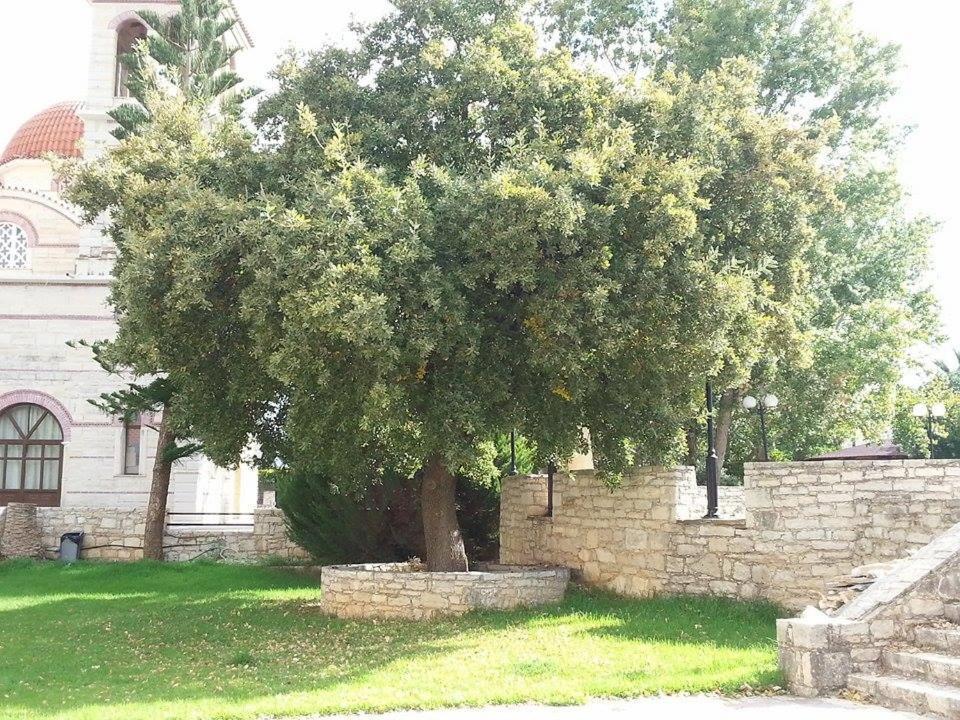 Вилла Lale'S House Garazo Экстерьер фото